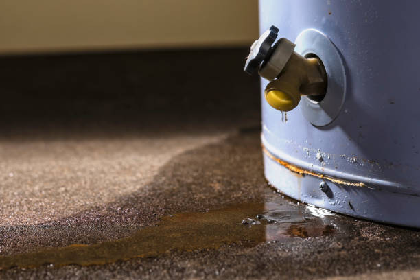 Best Basement water damage restoration  in Newport, VT