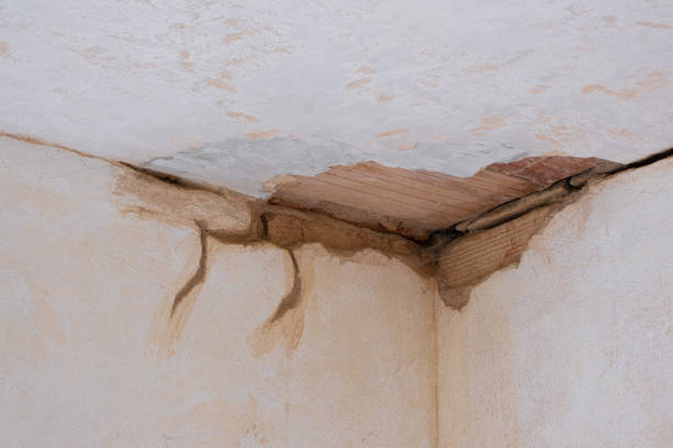 Best Flood restoration services  in Newport, VT