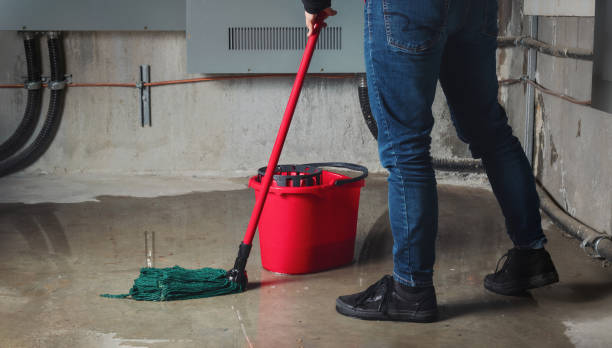 Best Water damage restoration process  in Newport, VT