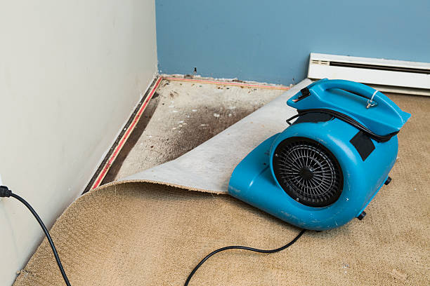 Best Water damage restoration near me  in Newport, VT
